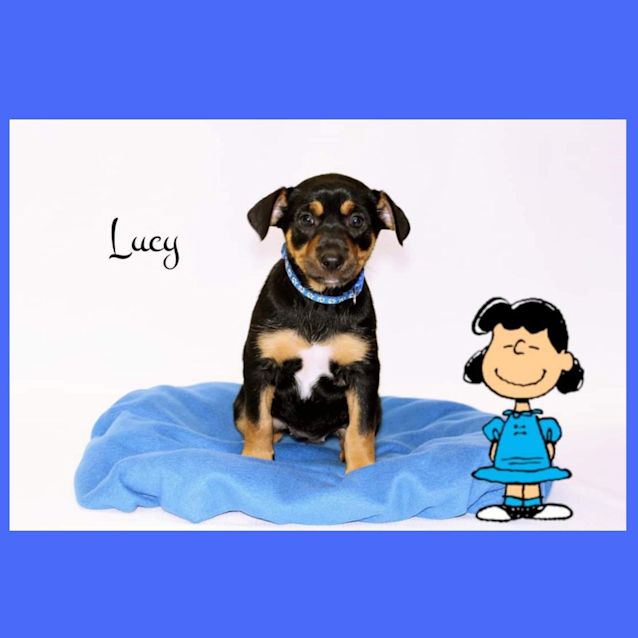 Photo of Lucy