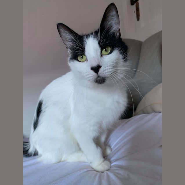 Photo of Betty