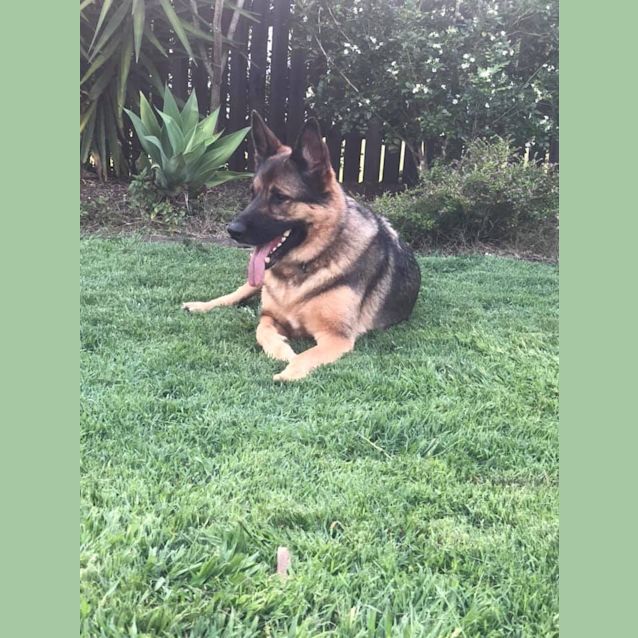 Photo of Thor