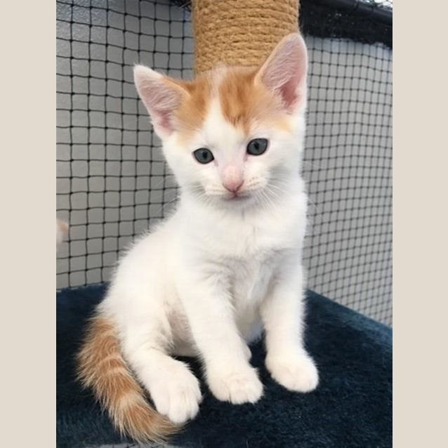 Photo of Timmy