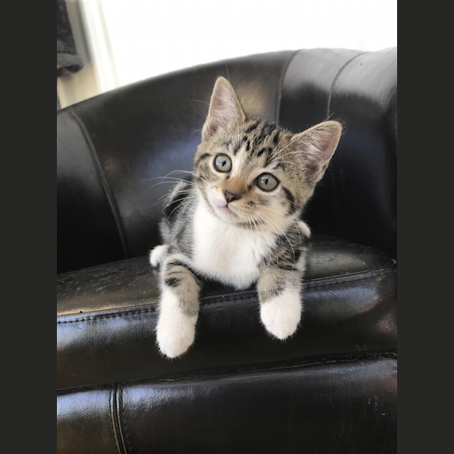 Photo of Mia