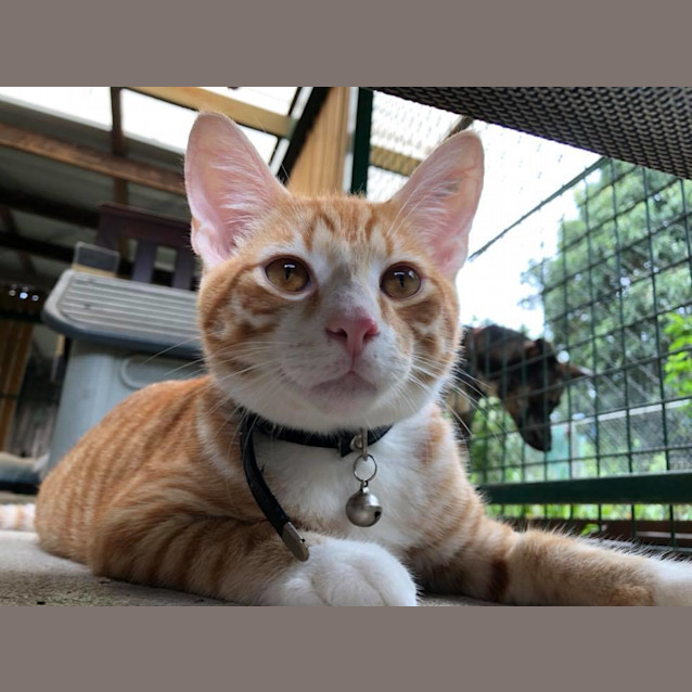 Photo of Bow
