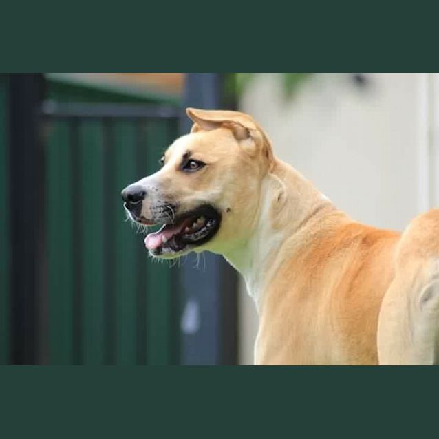 Photo of Bentley 