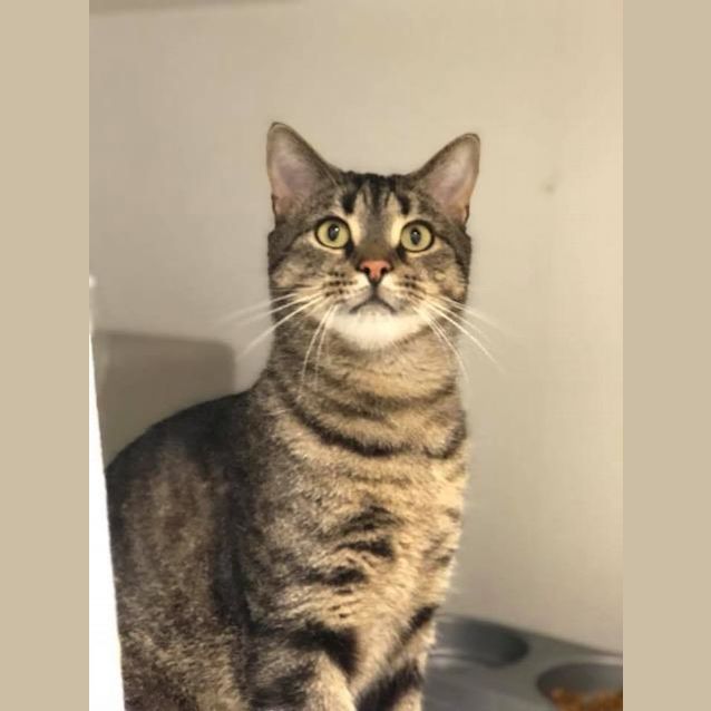 Photo of Clyde
