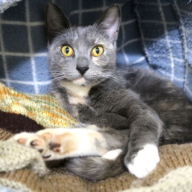 Photo of Trudy