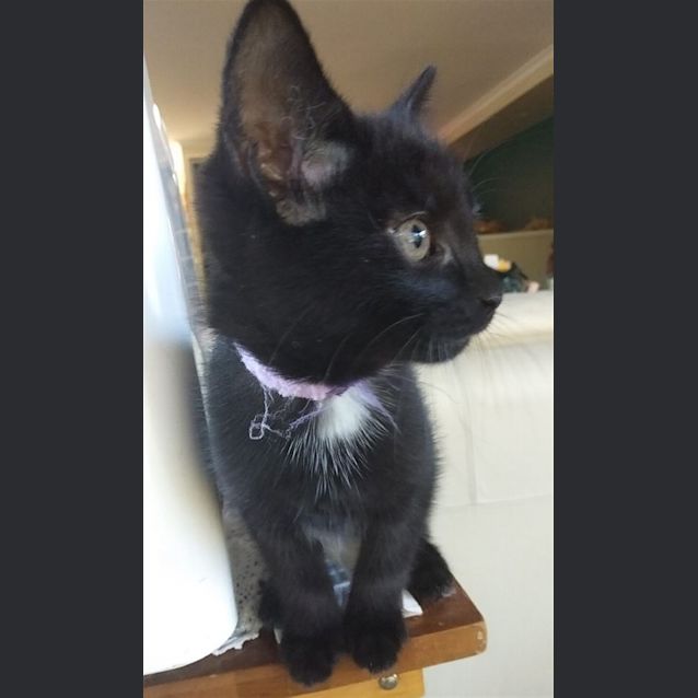 Photo of Elphaba