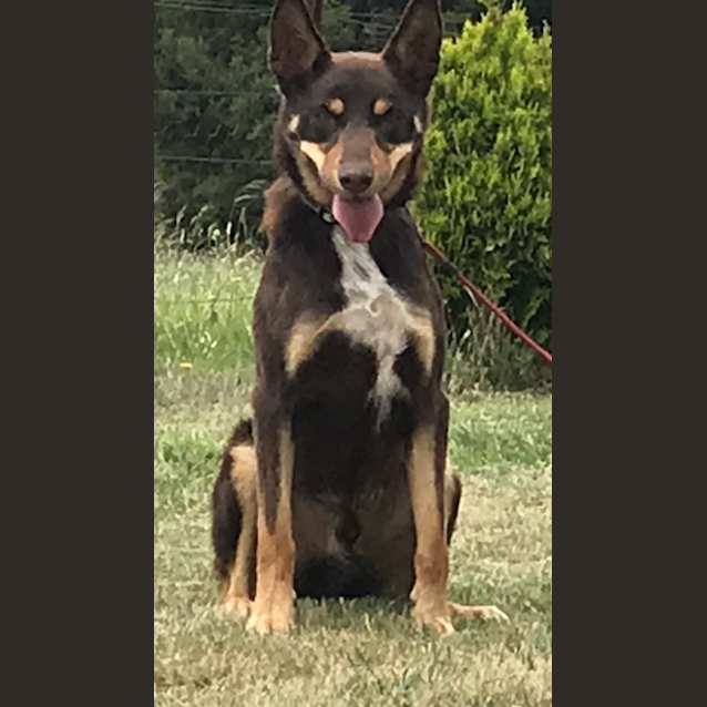 Photo of Hugo