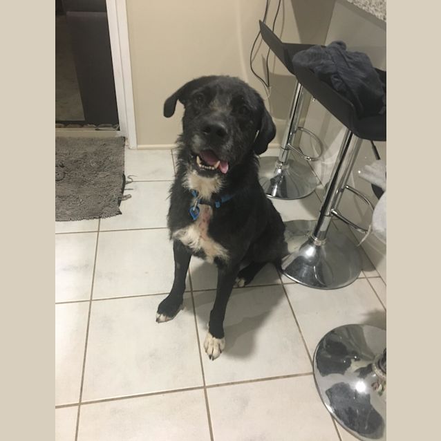Photo of Buzz 