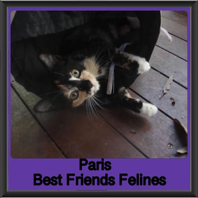 Photo of Paris