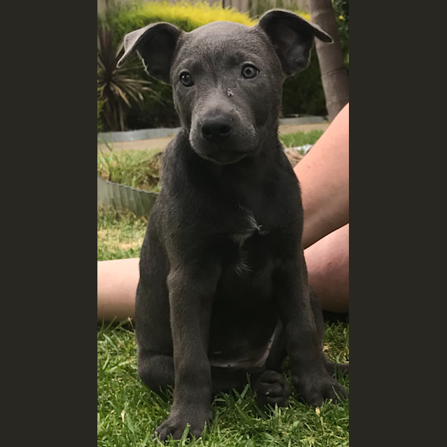 Photo of Storm