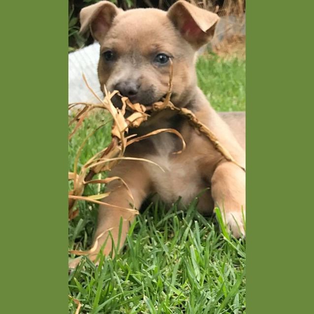 Photo of Starlah
