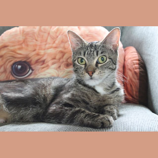 Photo of Willow