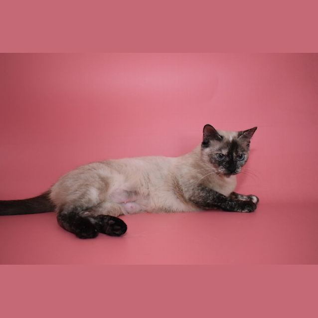 Photo of Felicity