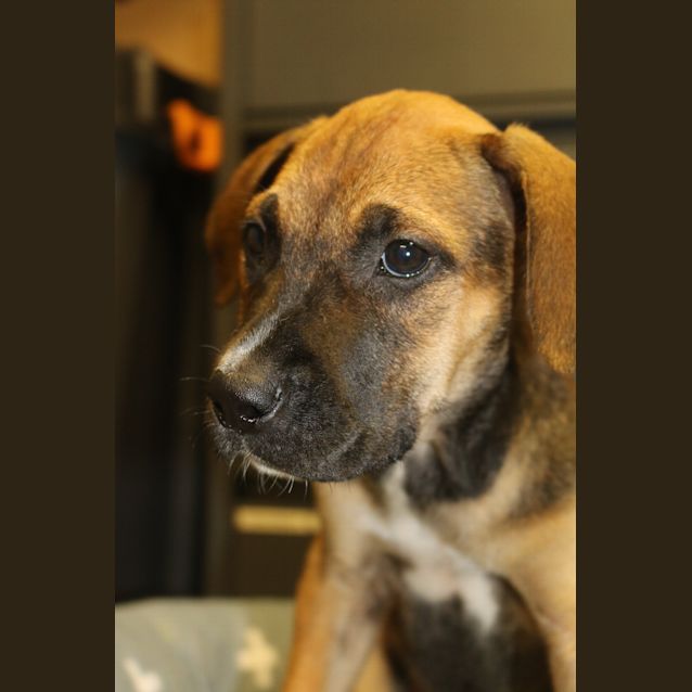 Photo of Harper