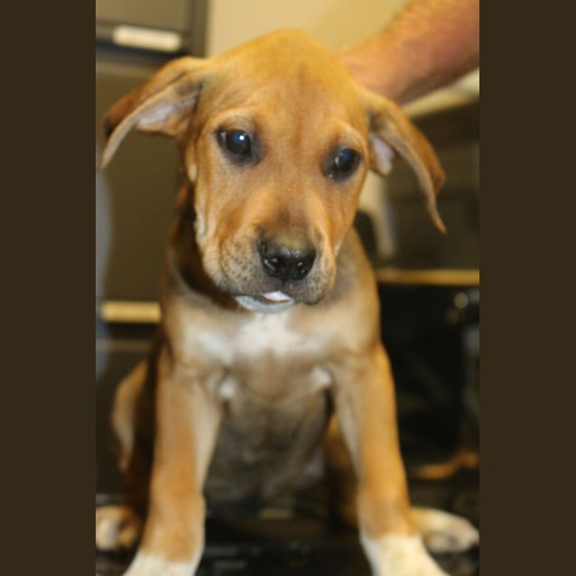 Photo of Mercy