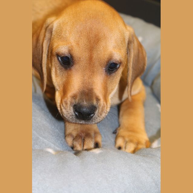 Photo of Kiwi