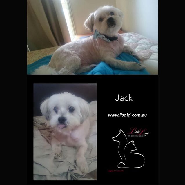 Photo of Jack
