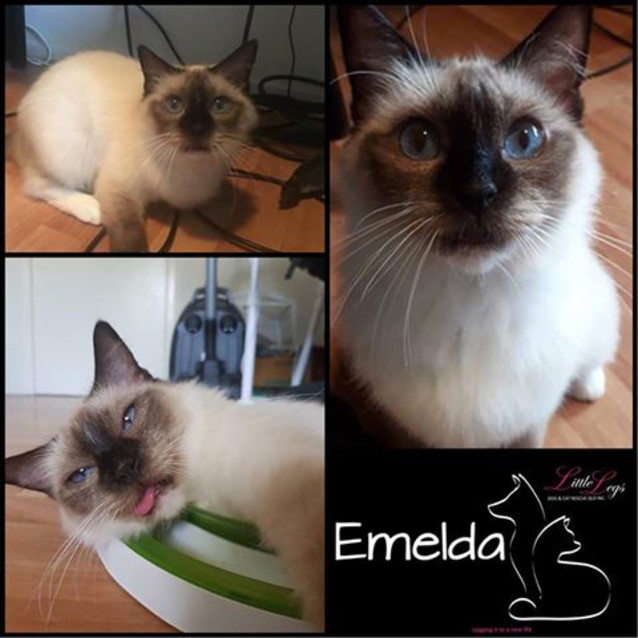 Photo of Emelda