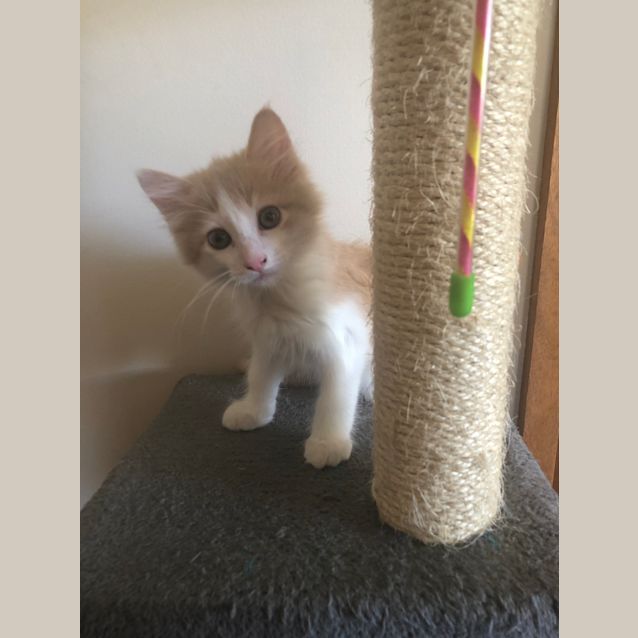 Photo of Max
