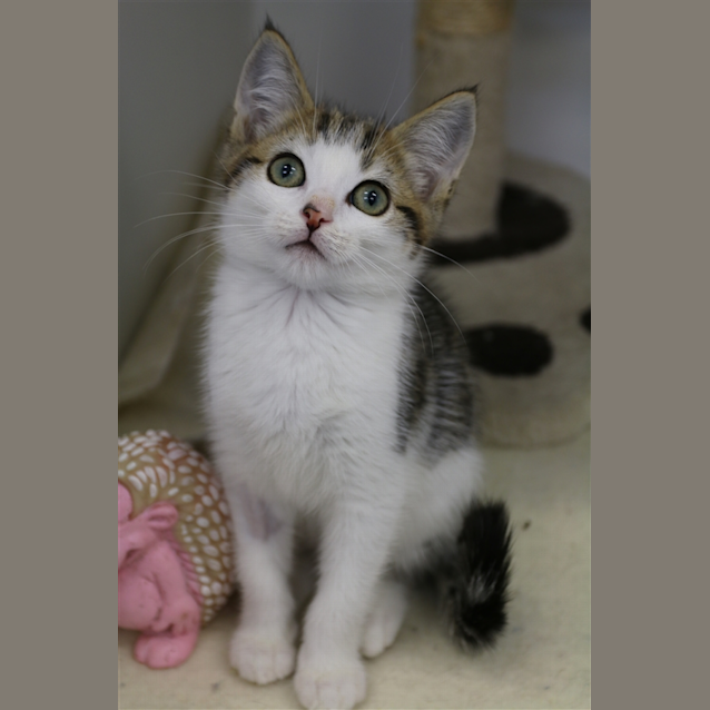 Photo of Butch Catsidy