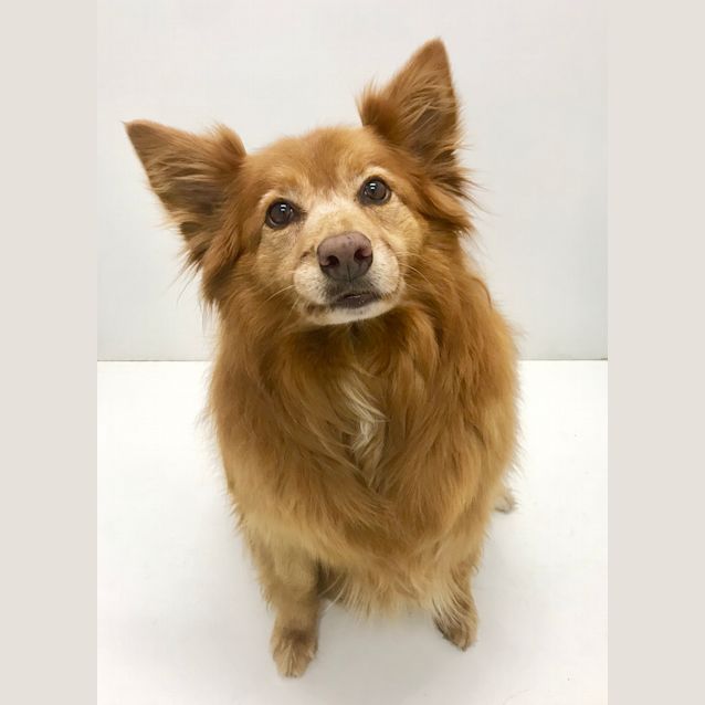 Photo of Bonnie