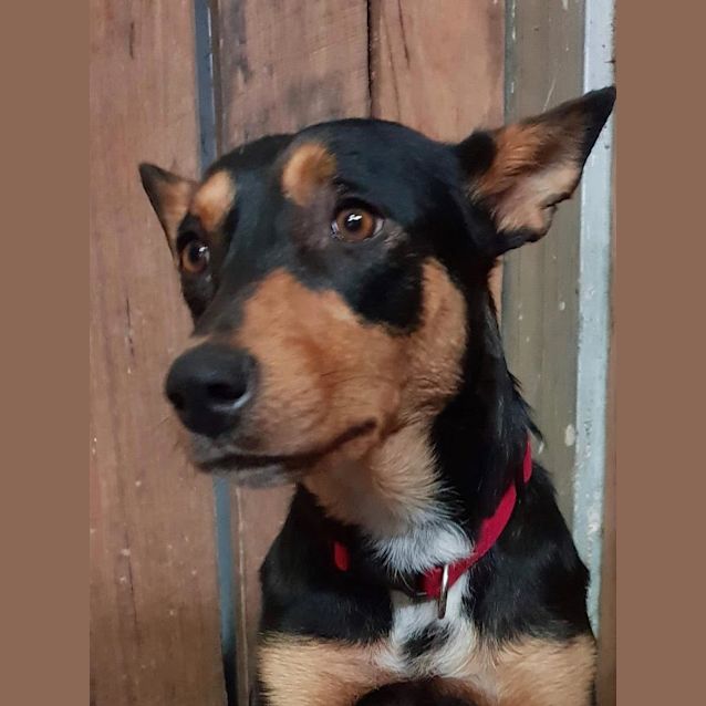 Photo of Spirit