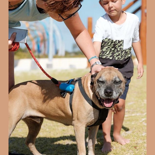 Photo of Bruce Db114