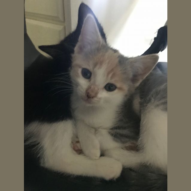 Photo of Kya