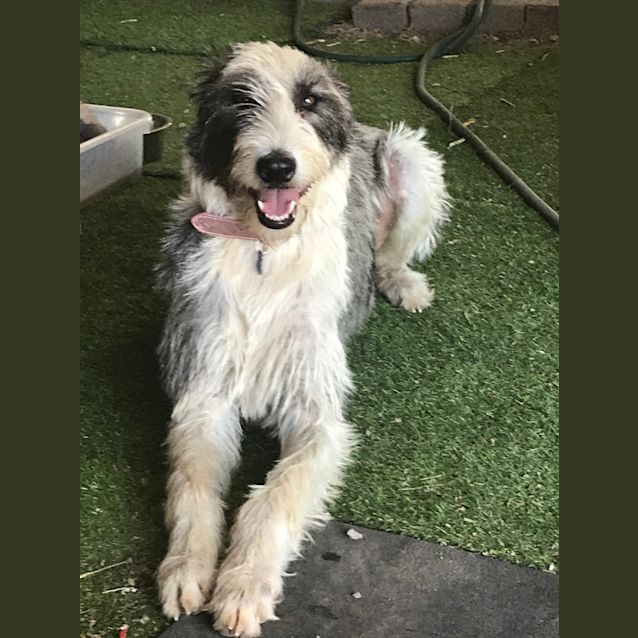 Photo of Maggie