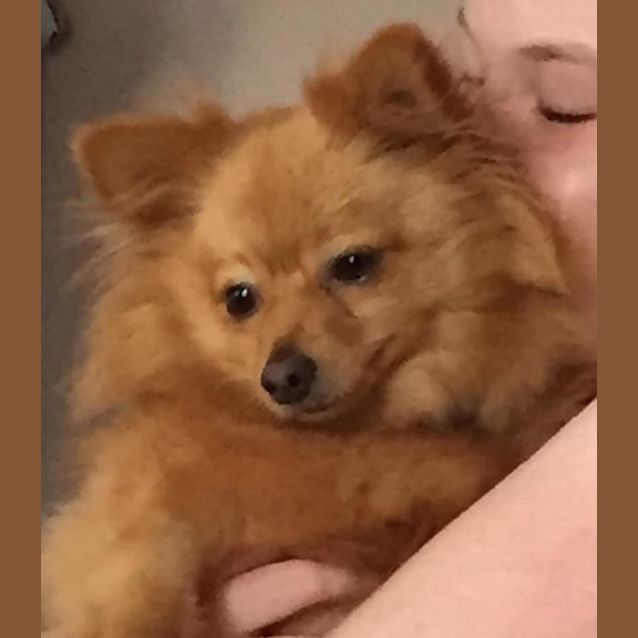 Photo of Daisy