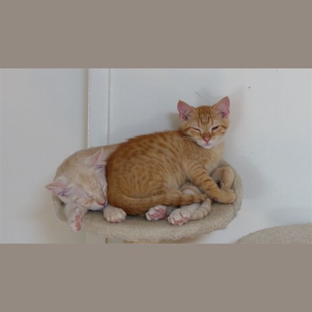 Photo of Jasper
