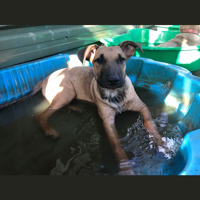 Photo of Zena