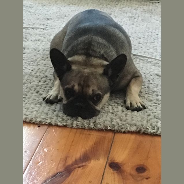 Photo of Peppe **On Trial**