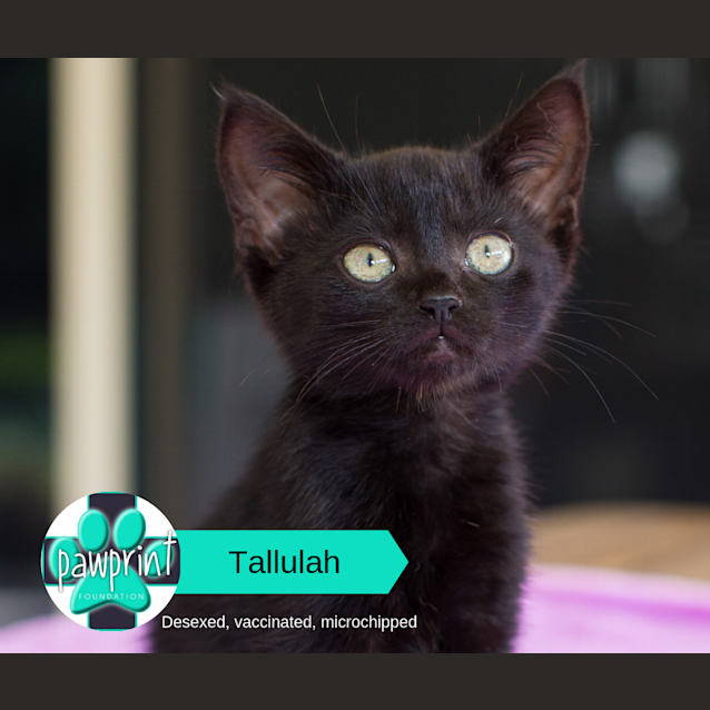 Photo of Tallulah