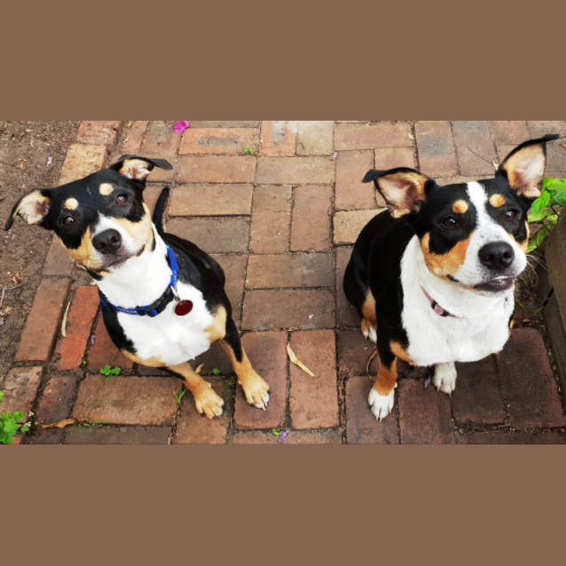 Photo of Honey And Layla