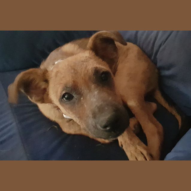 Photo of Zi (Zi'na)  **On Trial **