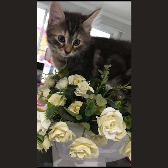 Photo of Tammy