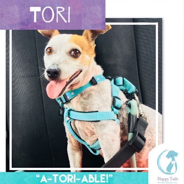 Photo of Tori