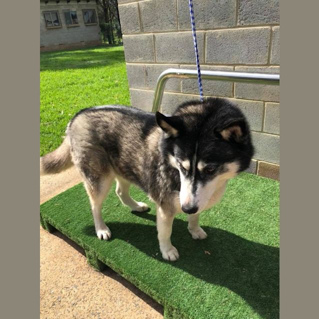 Photo of 1048 Alaska