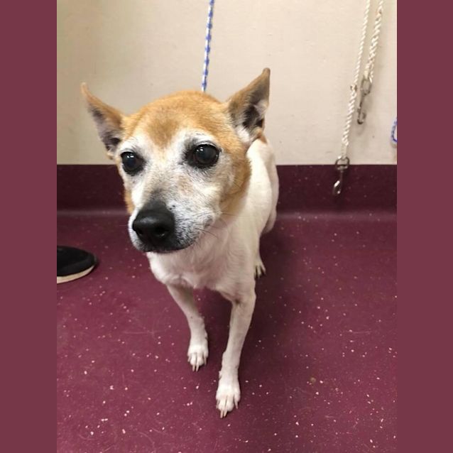 Photo of 1050 Squirtie