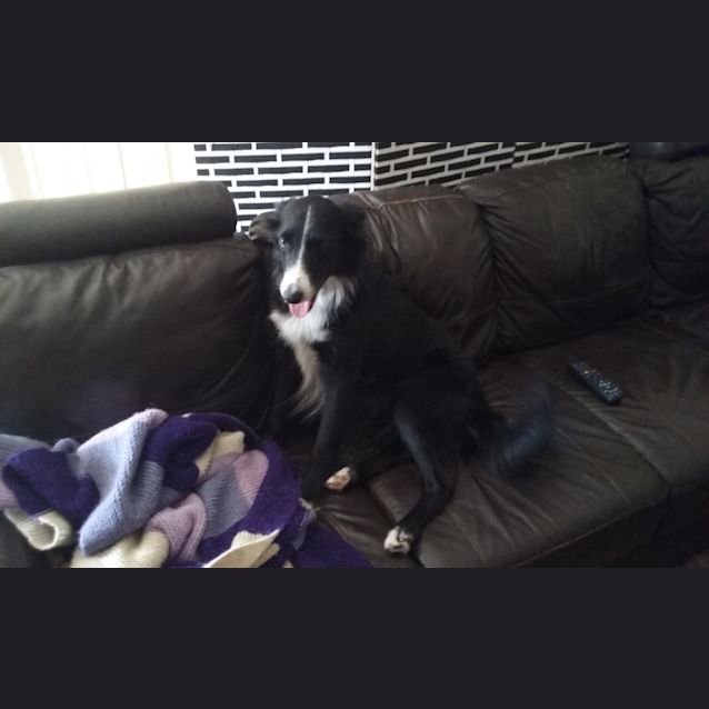 Photo of Ralph 