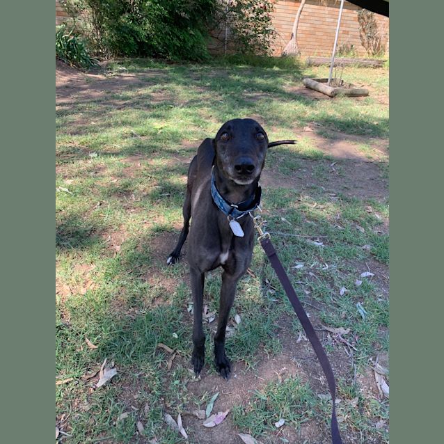 Photo of Gerry