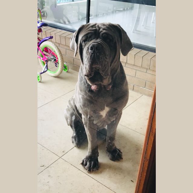 Photo of Zeus 🧿