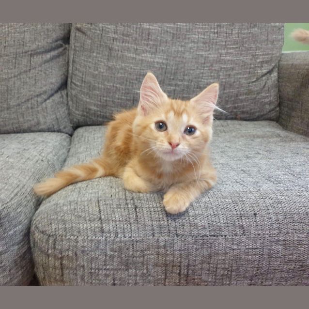 Photo of Miss Gandie 