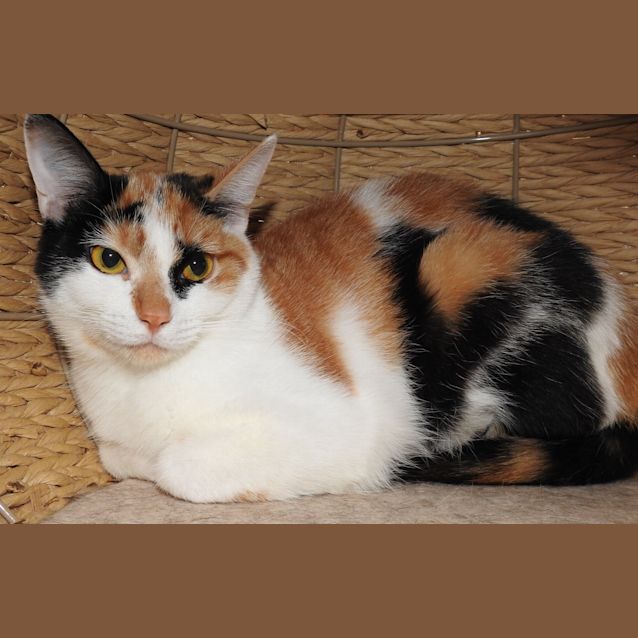 Photo of Evita