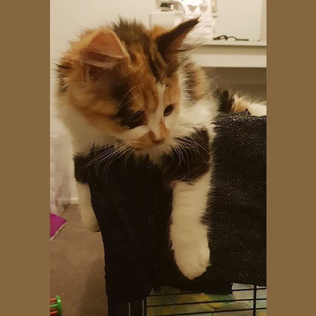 Photo of Buffy