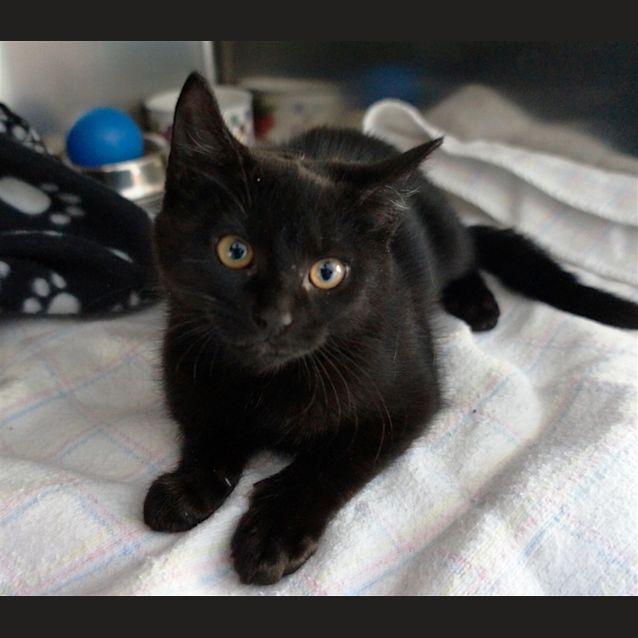 Photo of Jasmine