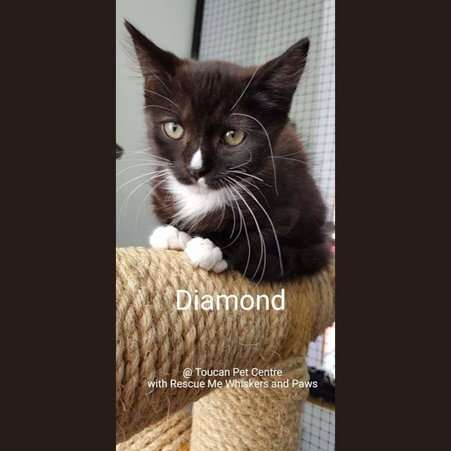 Photo of Diamond