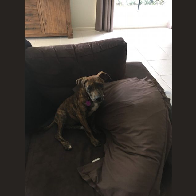 Photo of Luna 