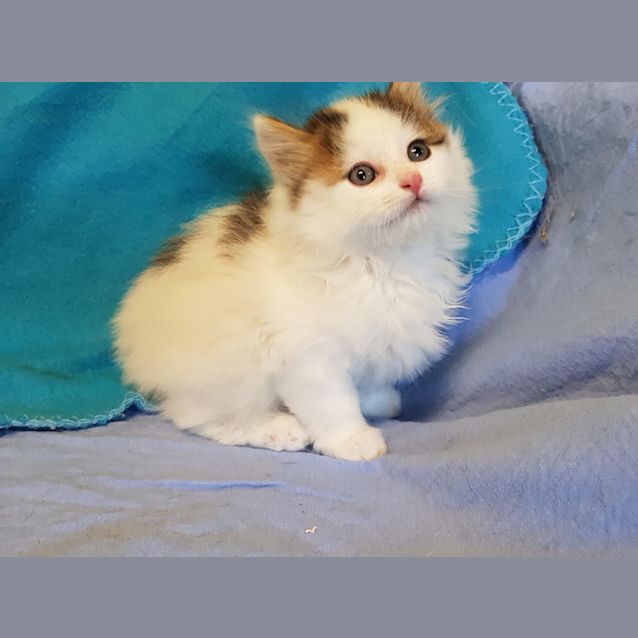 Photo of Kit Harrington 